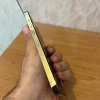 iPhone 13 pro max|موبایل|بندر گناوه, |دیوار