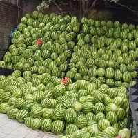 نیازمند به ادمین حضوری