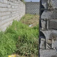 زمین ۲۰۵ متری چهار دیواری تک برگ