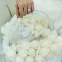 گیفت عروسی و تولد