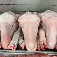 کله پاچه گوسفند و کله پاچه بز و سیرابی