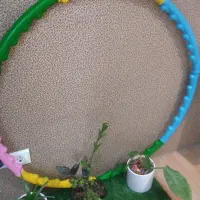 حلقه ی لاغری سایز بزرگ