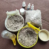 وسایل نگهداری قناری و مرغ عشق