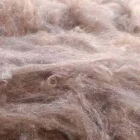 پشم نشسته