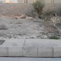زمین-خالی-در-دهپیاز