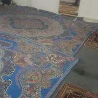 گلدشت-ارغوان-7