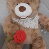 خرس تدی