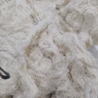 فروش دستمال مکانیکی،صنعتی