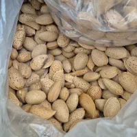 بادام سنگی بسیار خوش طعم کاملا اورگانیک