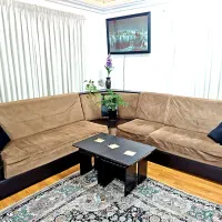 مبل|مبلمان خانگی و میز عسلی|رشت, کاکتوس|دیوار