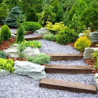باغبانی ، سمپاشی ، هرس ، تشخیص کمبود مواد مغذی