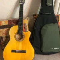 گیتار دیانوند