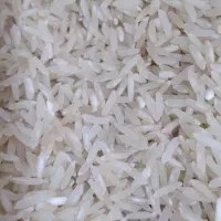 نیم دانه،برنج فجر،هاشمی