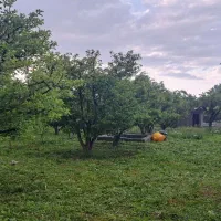 باغ ویلایی|فروش زمین و ملک کلنگی|مشگین شهر, |دیوار