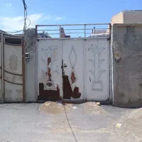 تعدادی در پنجره سالم