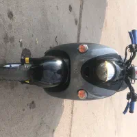 پاکشتی وینو