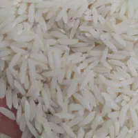 برنج طارم هاشمی درجه یک