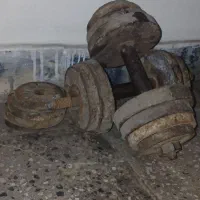 دمبل