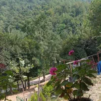 ویلا
