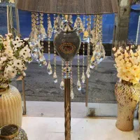 آباژور کنار سالنی سیلور