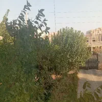دو-خواب-فاز-3شمال