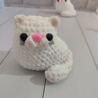 گربه مخملی چشم رنگی