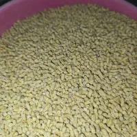 دان پارس  مرغ و جوجه
