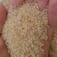 فروش خرده برنج کامفیروزی