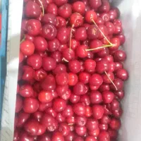 فروش ۴ جعبه گیلاس گیفان بدون موادشیمیایی