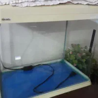 آکواریم بدون شکستگی ونشتی سالم،سالم شیشه خم