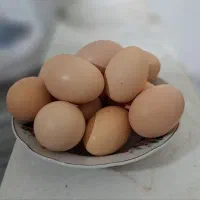 تخم مرغ رسمی ارگانیک
