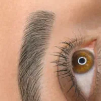 فیبروزابرو میکرو بلیدینگ  شیدینگ لب