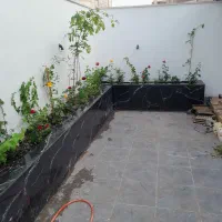 گل ودرخت|گل و گیاه طبیعی|قم, شهرک فاطمیه|دیوار