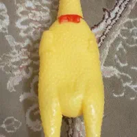 مرغ صدادار