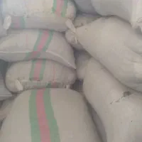 شلتوک بزری