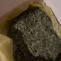 یونجه خرگوش‌ نابالغ فقط برگ کاملا تمیز