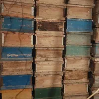 طبق کندو|ابزارآلات|قره ضیاالدین, |دیوار