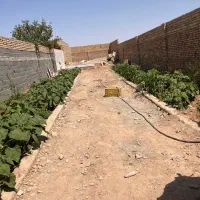 باغچه به متراژ ۸در۴۸