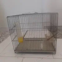 قفس سهره