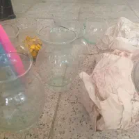 تعدادی تنگ