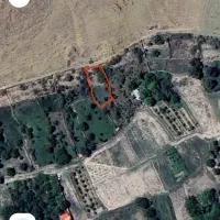 زمین باغی