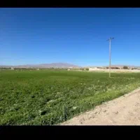 زمین کشاورزی