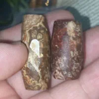 مهره برد سلطانی اصل