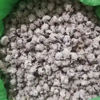 شکرتیغال شکر تیغال