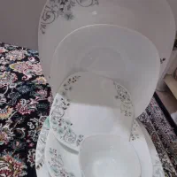 ظروف ارکوپال ۳۰ نفره دستی ۲۸۰۰