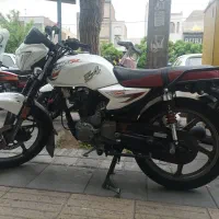 آژاکس  بنلی