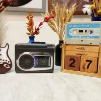 واکمن حرفه ای پاناسونیک