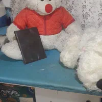 خرس بزرگ|اسباببازی بچه|مشهد, نیزه|دیوار