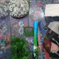 آکواریوم