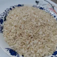 فروش انواع برنج بشرط قیمت عالی